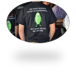 1492066083891748.png 1.png